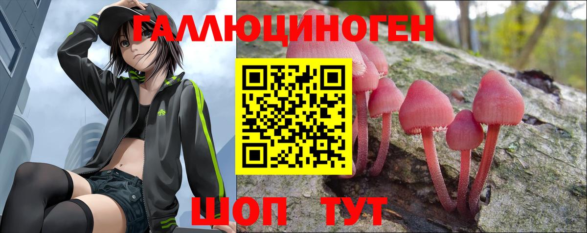 Псилоцибиновые грибы прущие грибы Черняховск