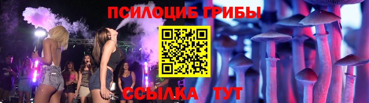 Черняховск  Псилоцибиновые грибы мицелий  Вход с VPN 